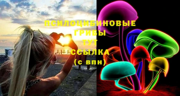 мяу мяу мука Алексин