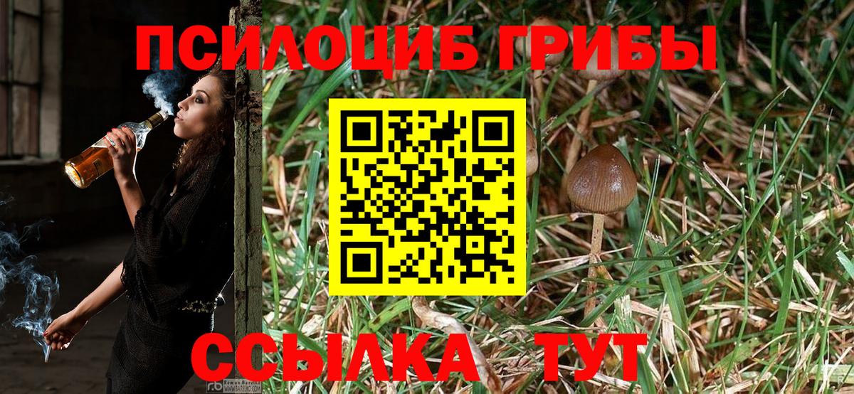 Галлюциногенные грибы Cubensis  Вход с VPN  Галлюциногенные грибы Psilocybine cubensis  Лабинск 